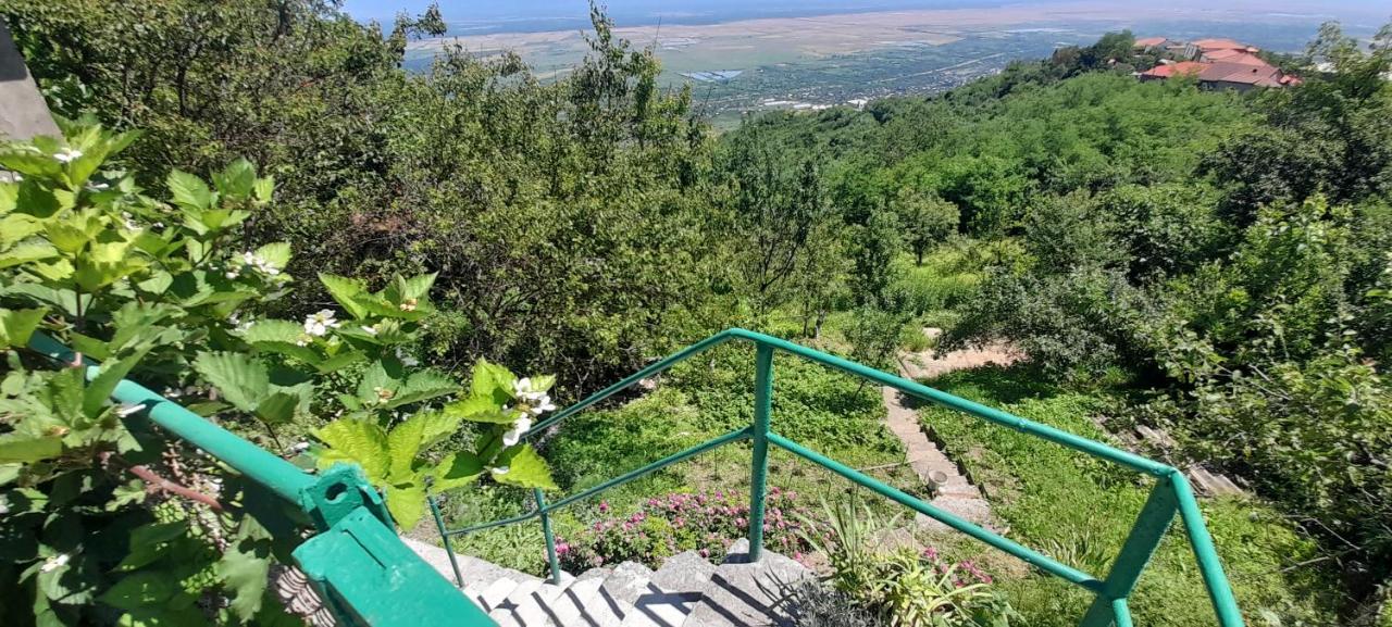 Guesthouse Kiko Сигнахи Экстерьер фото