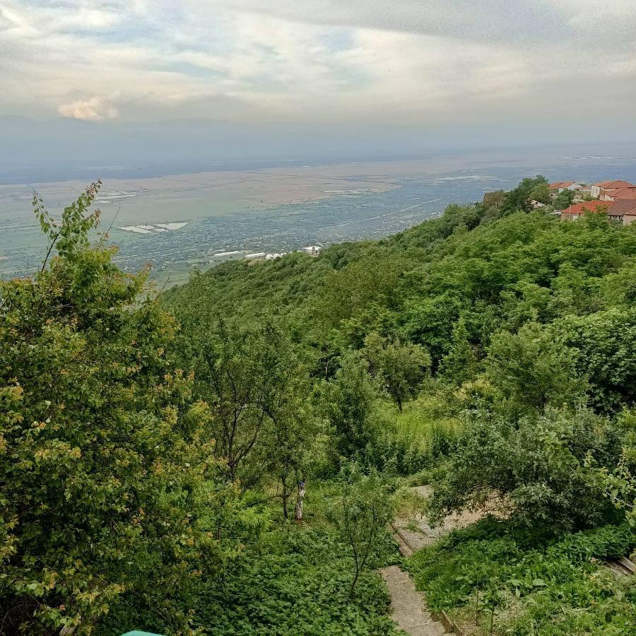 Guesthouse Kiko Сигнахи Экстерьер фото