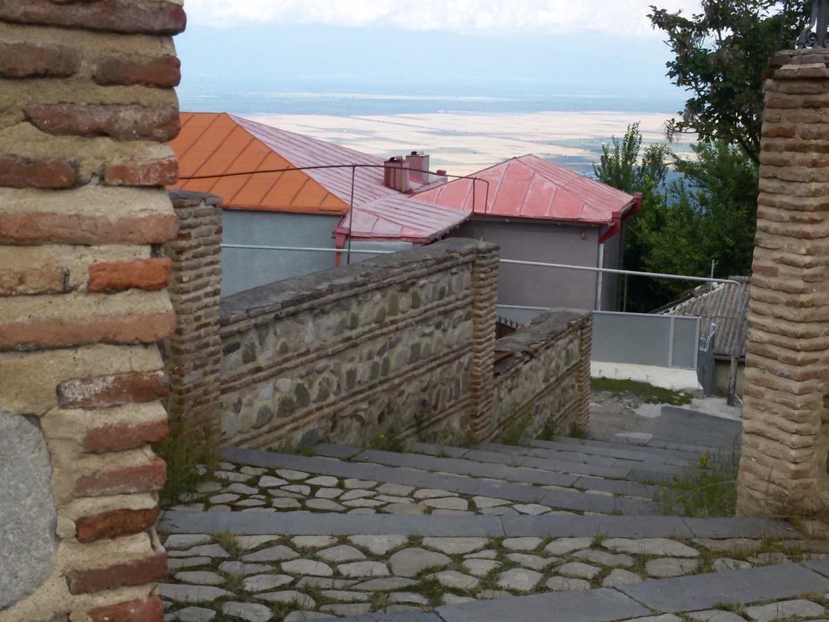 Guesthouse Kiko Сигнахи Экстерьер фото